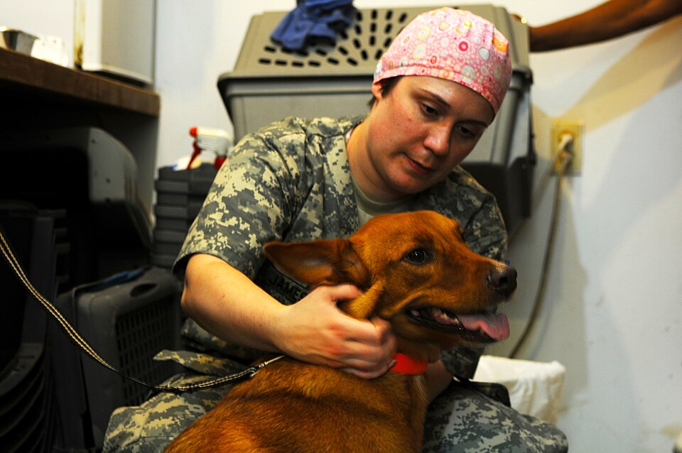 Industries We Insure Veterinary Clinics workers compensation insurance
